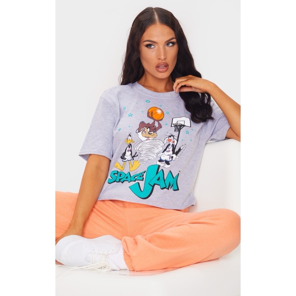 Grey Space Jam Cropped T Shirt